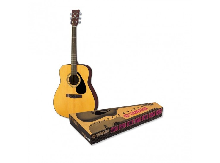 F310P Guitar Package
