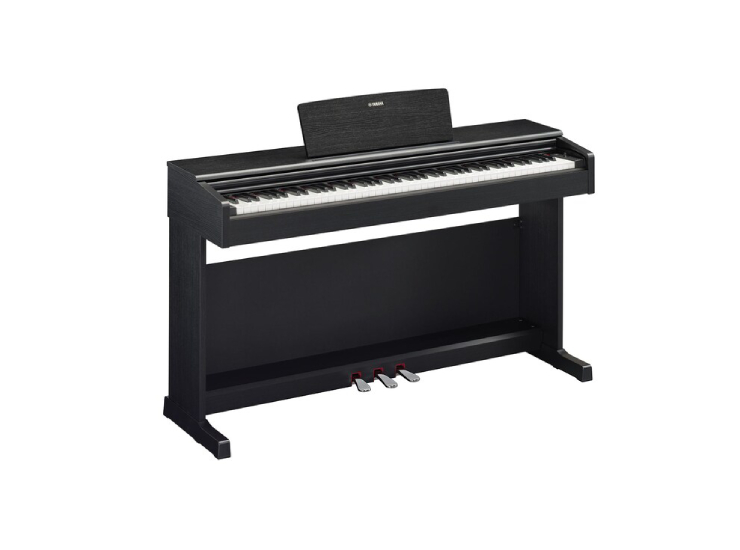 YDP-145 Digital Piano