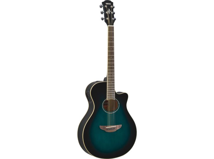 APX600 Acoustic Electric Guitar