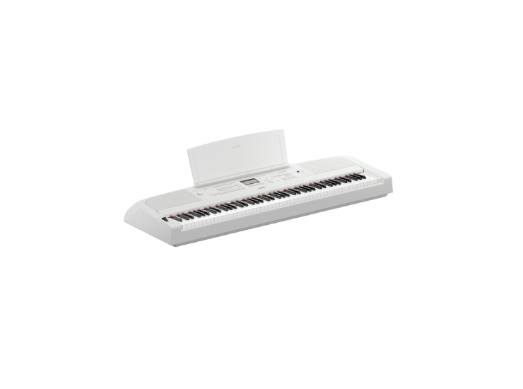 DGX-670 Portable Grand Piano