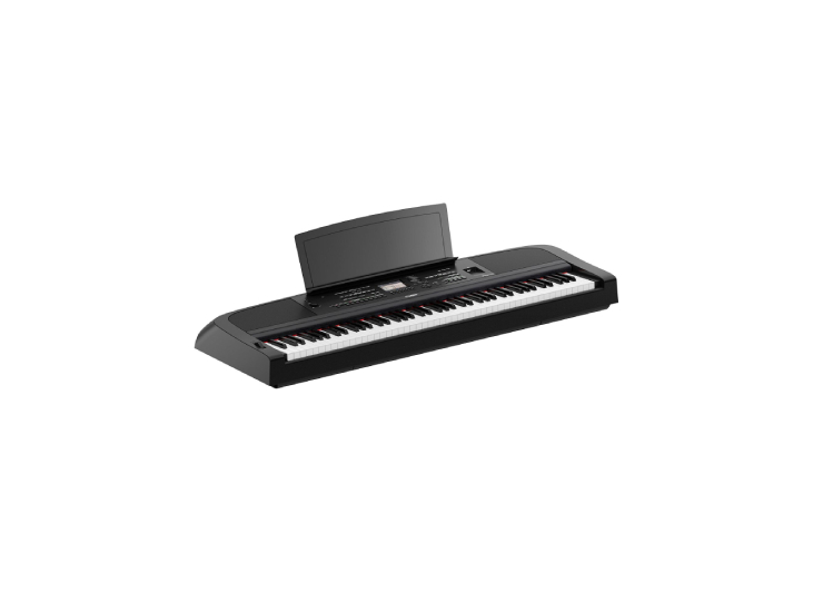 DGX-670 Portable Grand Piano