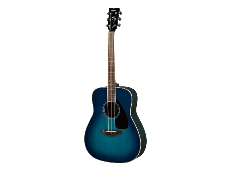 FG820 Acoustic Guitar