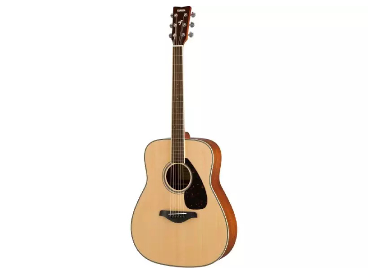 FG820 Acoustic Guitar