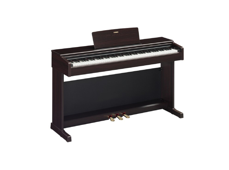 YDP-145 Digital Piano