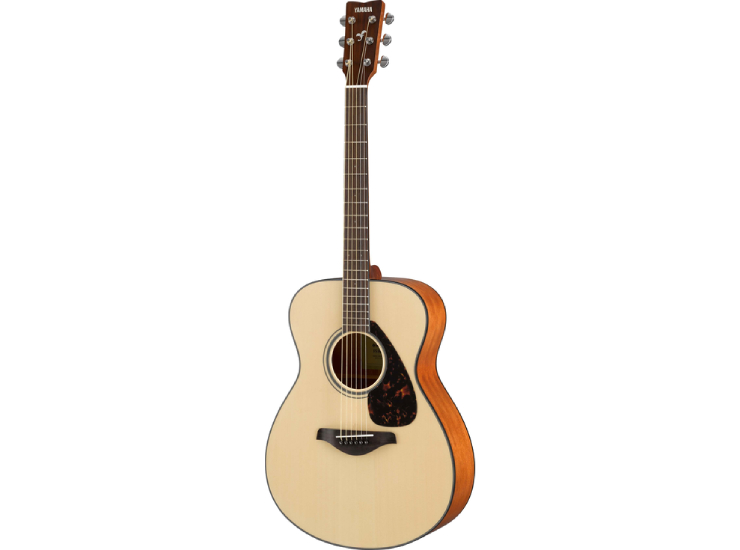 FS800 Acoustic Guitar