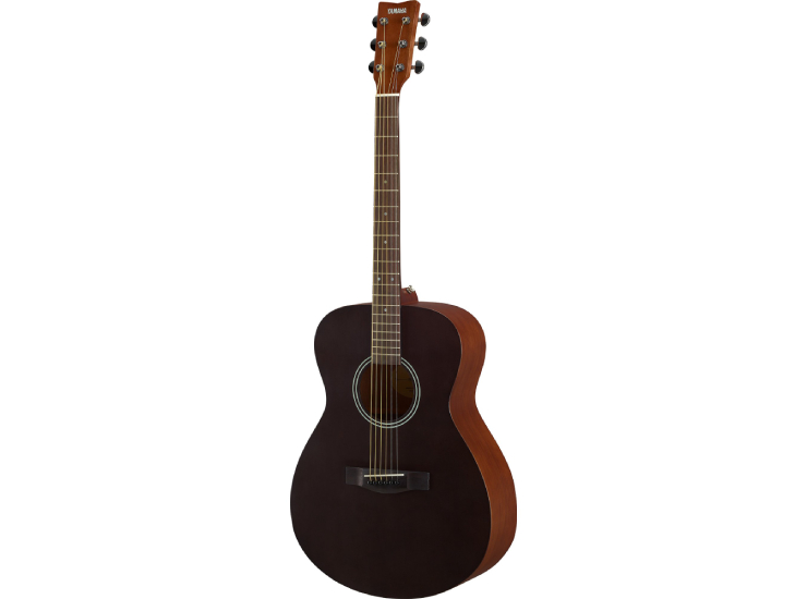 FS400 Acoustic Guitar