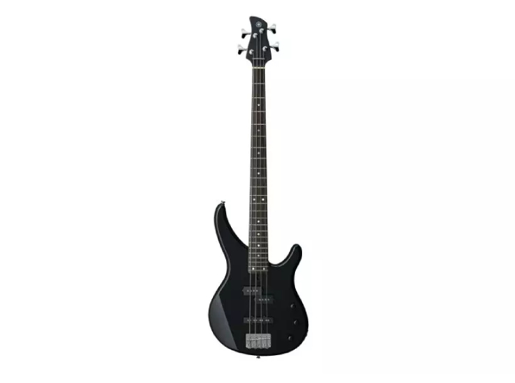 4-String Electric Bass Guitar